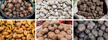 Social Fabric 2018.07.16