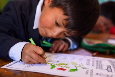 Fair Indigo Foundation