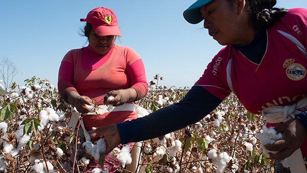 fair trade organic t-shirts