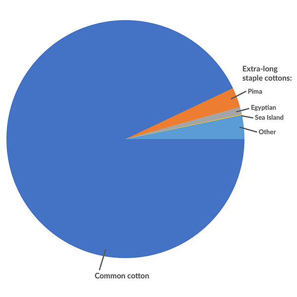 pima cotton shirts and clothing - organic and fair trade - what is pima cotton