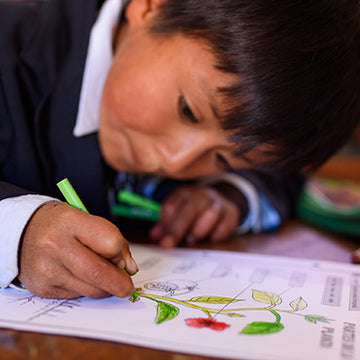 fair indigo foundation