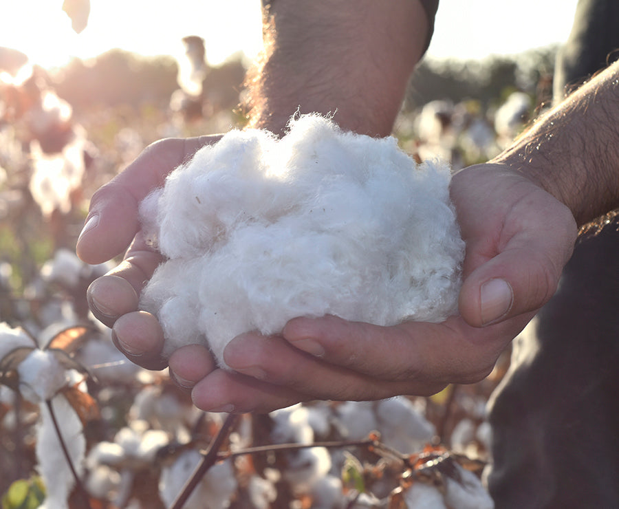 pima cotton shirts and clothing - organic pima cotton clothes